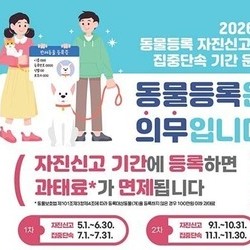 반려견 등록 단속, 7월부터 본격 시행한다