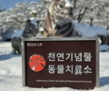 우치동물원, ‘천연기념물 동물치료소’ 지정