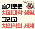 치과대학 입학과 치과상식 라이프