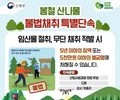 드론까지 뜬다…봄 산나물 채취, 이제 단속 전쟁