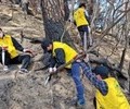 강서구, 강릉 산불 피해복구 자원봉사자 파견과 성금 전달