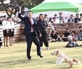 경주시, 음식점 반려동물 동반 허용