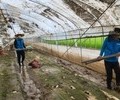 안산도시공사, 충남 청양군 수해현장 봉사활동 펼쳐