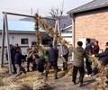 옥천 ‘교평리 강줄당기기’ 최초 무형문화재 지정