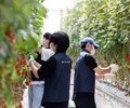 볼보자동차코리아, 발달장애 청년 일터 ‘푸르메소셜팜’서 봉사활동