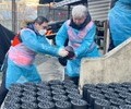 한국타이어, 연탄 나눔으로 취약계층에 온기 전달