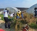 인천서 달려간 온정…적십자, 홍성 수해현장 복구 지원