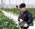 전남도, 청년 농업인 874명 정착 돕는다