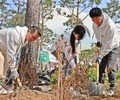 롯데물산, 식목일 맞아 석촌호수 나무심기 봉사활동