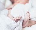 강남 최고급 산후조리원서 신생아 RSV 집단감염