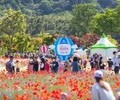 '태화강 국가정원 봄꽃축제' 19∼21일 개최