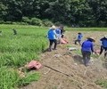 신한금융, 충청지역 수해 복구 봉사활동