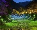 '강릉 솔향수목원’ 6월부터 야간 개장