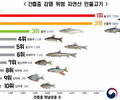 자연산 민물고기 회로 먹으면 큰일!