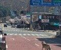 늑구 사태로 본 ‘가짜 동물 이미지’ 경계령