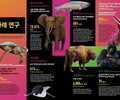 WWF 보고서 