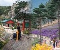 산청서 한 달 여행 즐겨 보세요!