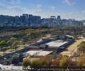 창경궁 궁궐숲 조성 나무심기 봉사활동