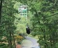  봄 여행 '증평 좌구산휴양랜드' 어때