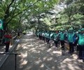 강남 새마을방역봉사대, 학교·공원  방역봉사 활동 진행