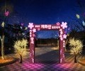 4년 만에 돌아온 '2023 개화산 봄꽃축제'