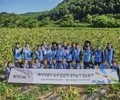 KT＆G, 잎담배 수확 봉사활동…17년째 농가와 상생 실천