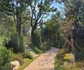 경기도, 471억원 들여 '도시숲' 181곳 조성