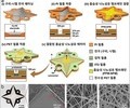 KAIST, 필터 없는 초미세먼지 제거 기술 개발
