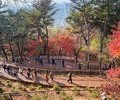 남산 하늘숲길, 한 달 만에 9만 명