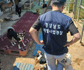 경남도 특사경, 동물학대 적발…검찰 송치