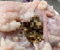 대형마트 하림 생닭서 벌레유충이 '우글우글'