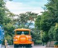 부산 영도 태종대유원지로 가을여행 떠나요